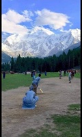 Do you like to play cricket at this place - Pakistan